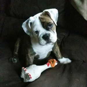 Meet your Posher, April